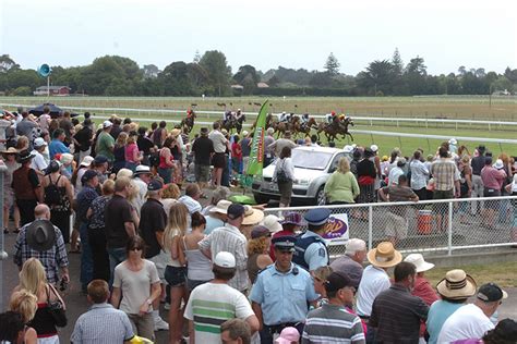 tab nz racing fields today.